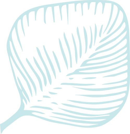 An aqua eucalyptus leaf icon graphic.